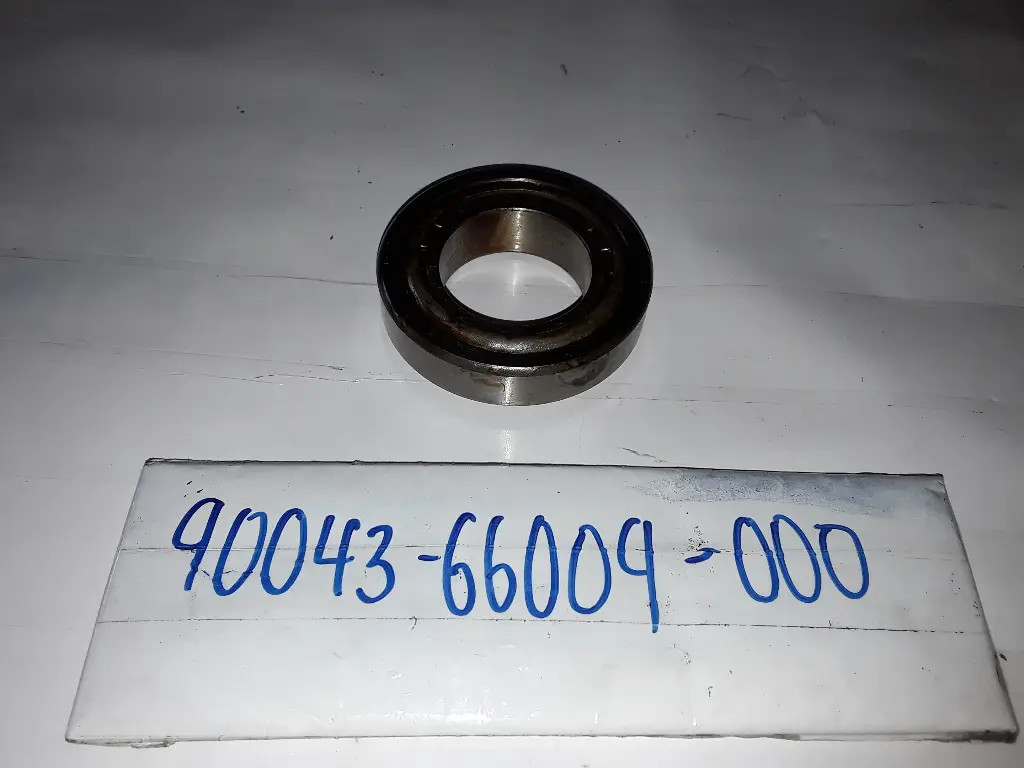 Differential Bearing