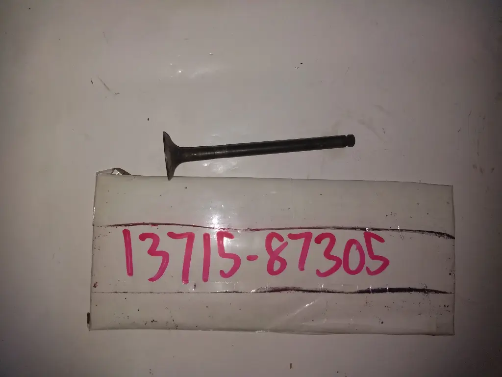 Exhaust Valve