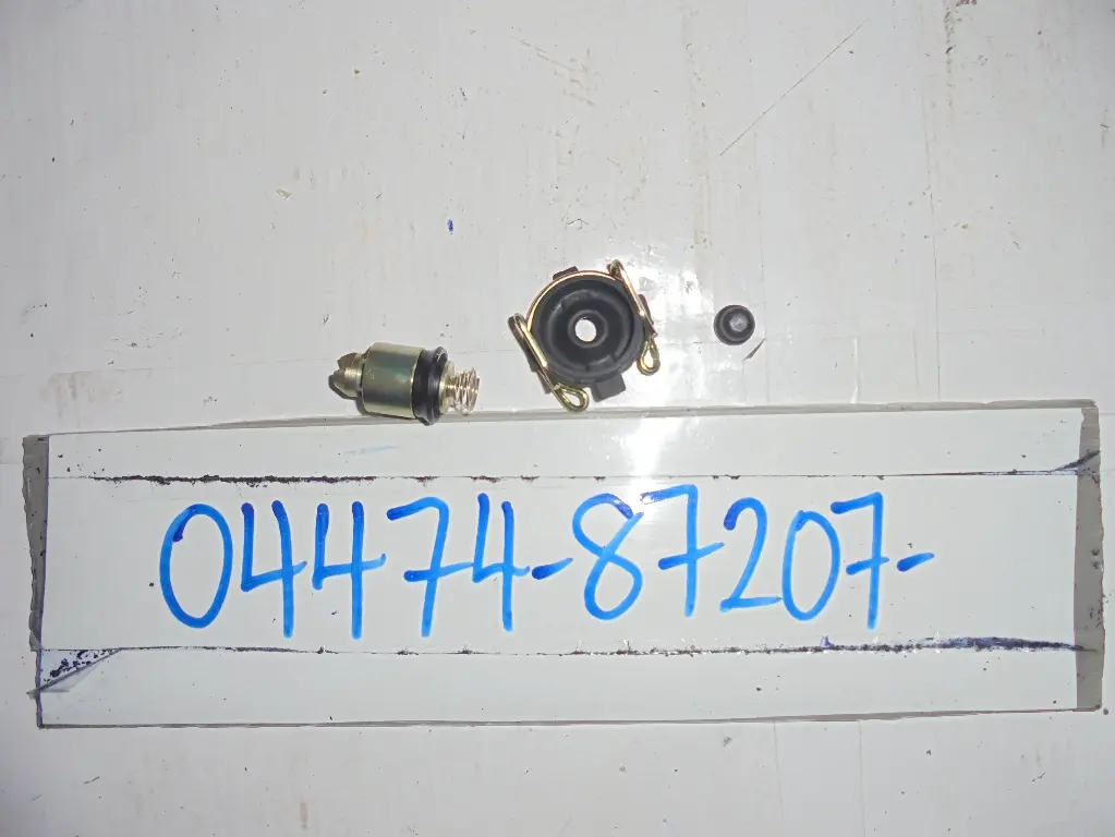 Rear Brake Cylinder
