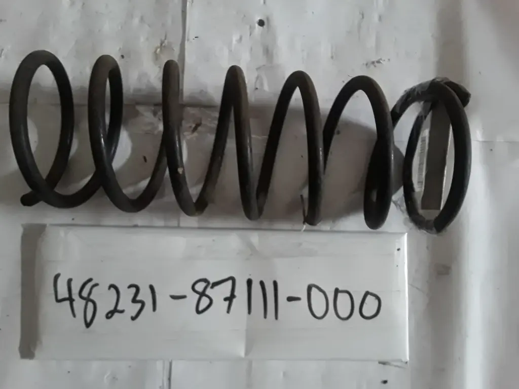 Rear Coil Spring