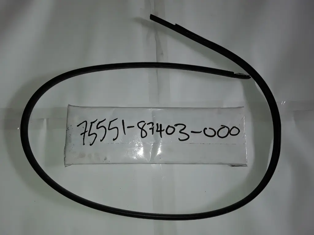 Roof Drip Moulding-RH