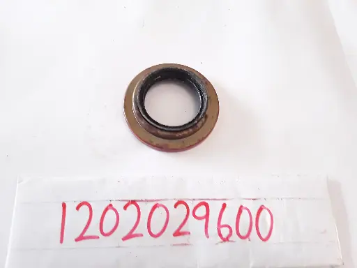 [1202029600] Oil Seal