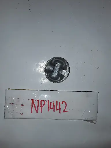 [NP1442] Piston